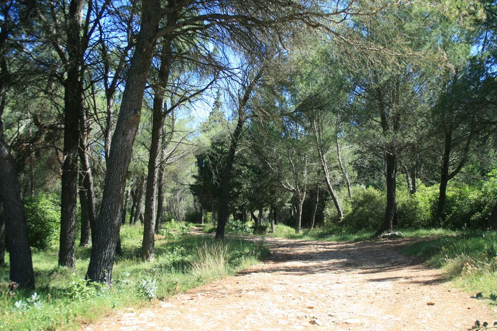 Chambres D'Hotes Le Puid De Gauthier Saturargues Buitenkant foto